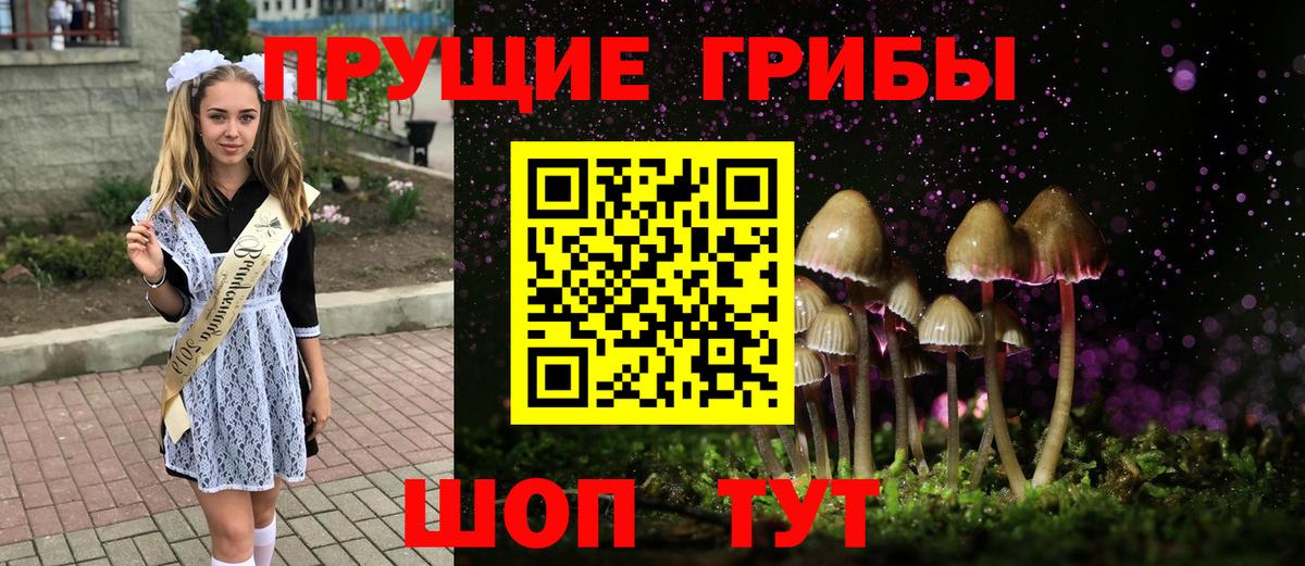 Галлюциногенные грибы Magic Shrooms Кисловодск