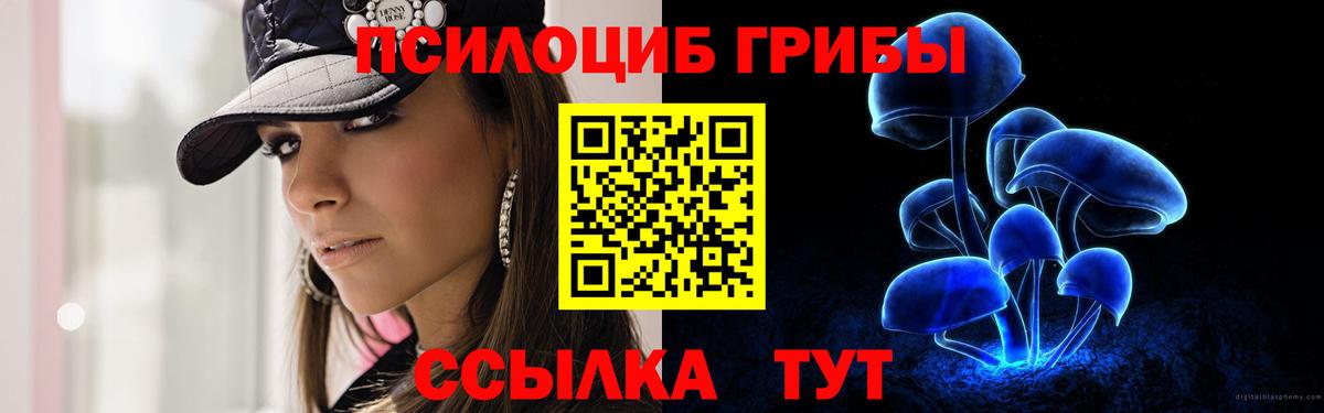 Псилоцибиновые грибы GOLDEN TEACHER  Вход с VPN  Кисловодск 