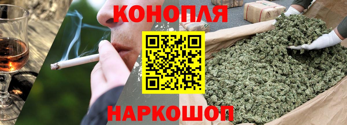 Каннабис планчик Кисловодск